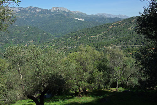 Blick auf Benalauria, Andalusien
