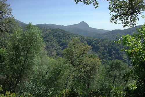 Blick auf die Sierra Crestellina vom Wanderweg Jubrique - Genalguacil