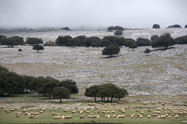 Foto des Karsttals La Nava am Wanderweg "Die Weiden von Cabra", Andalusien