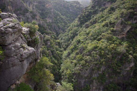 Foto der Schlucht "Garganta Verde" in der Sierra de Grazalema, Andalusien