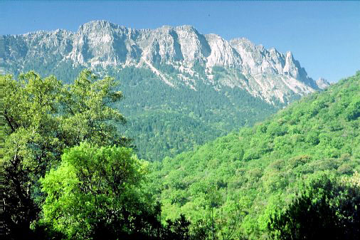 Foto der Sierra del Pinar, das Hauptgebirge des Naturparks Sierra de Grazalema