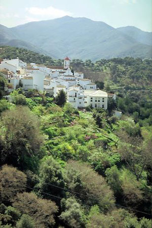 Foto des Ortes Genalguacil vom Mirador del Lentisco