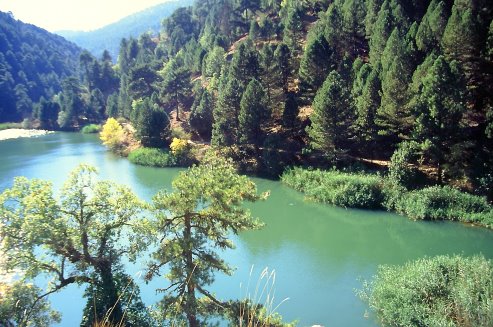 Foto der Laguna de Valdeazores in der Sierra de Cazorla, Andalusien