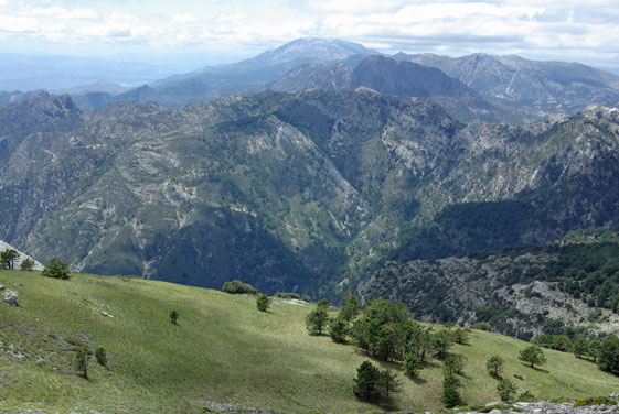 Blick vom Navachica auf die Sierra Tejeda