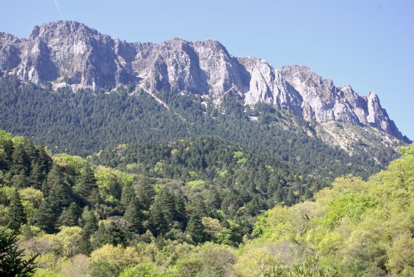 Foto der Sierra del Pinar vom Llano del Revés aus