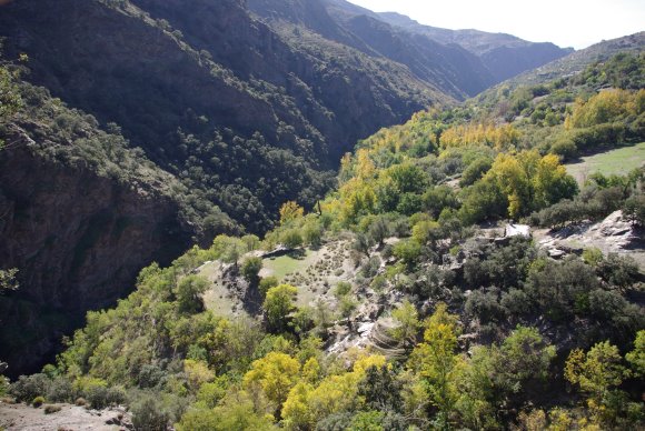 Foto des Río Trevélez bei Ferreirola, Alpujarras, Sierra Nevada, Andalusein
