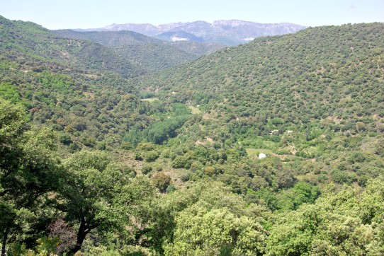 Das Tal des Río Genal, Andalusien