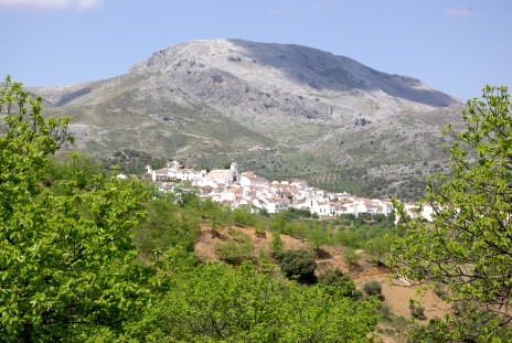 Cartajima und Cancha Armola, Tal des Río Genal, Andalusien