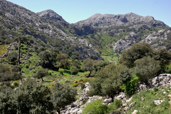 Sierra del Endrinal und Sierra del Caíllo in der Sierra de Grazalema